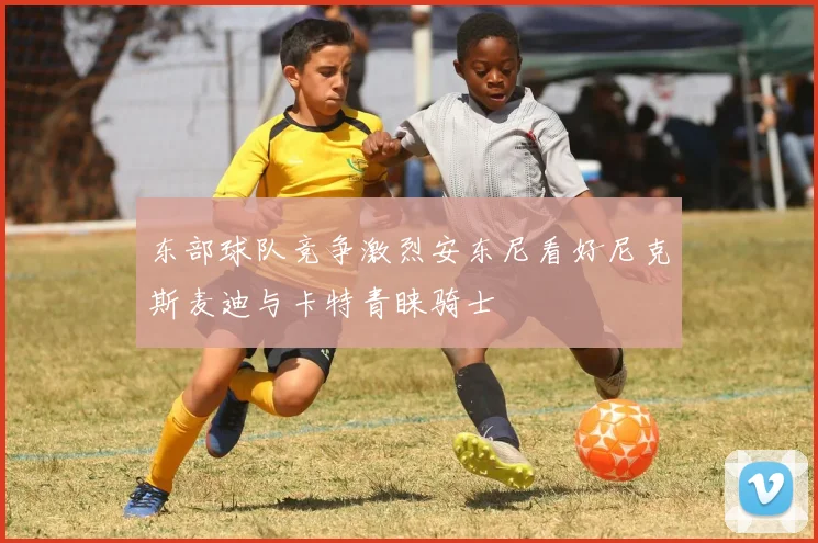 东部球队竞争激烈安东尼看好尼克斯麦迪与卡特青睐骑士
