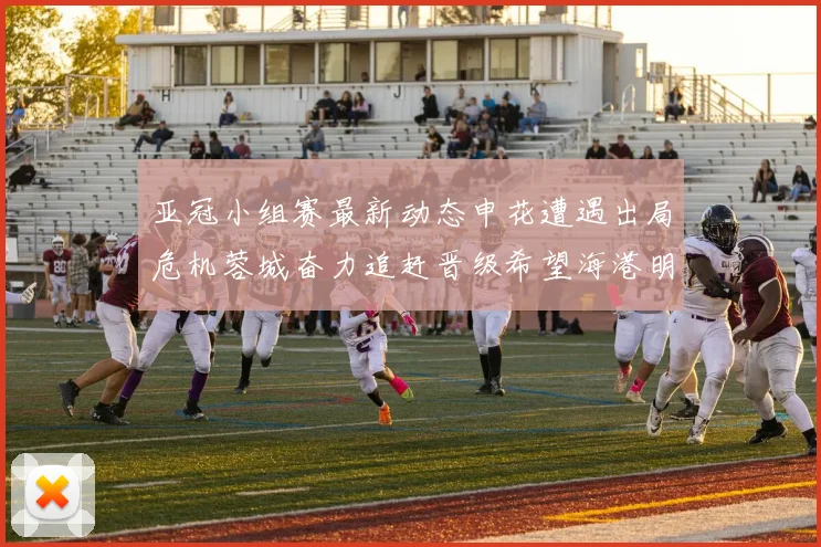 亚冠小组赛最新动态申花遭遇出局危机蓉城奋力追赶晋级希望海港明日迎战挑战