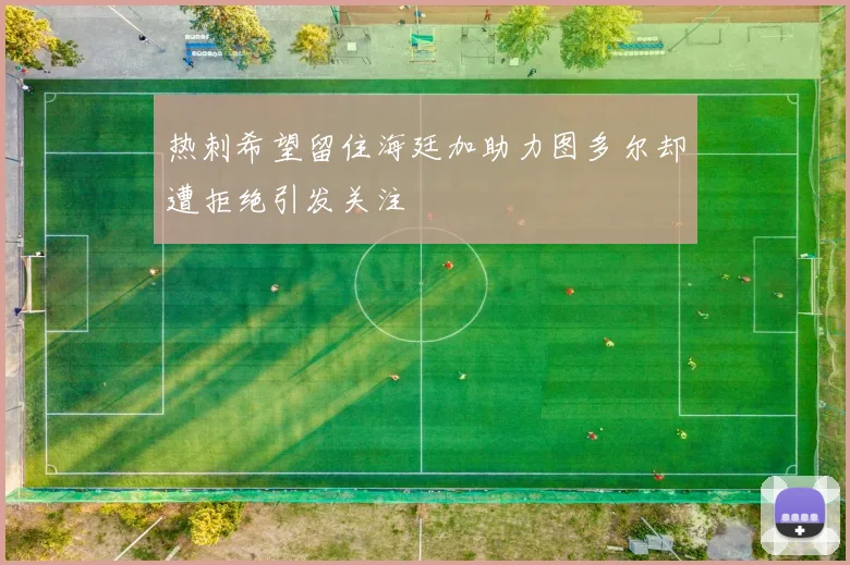 热刺希望留住海廷加助力图多尔却遭拒绝引发关注