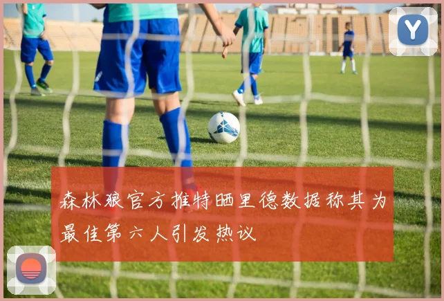森林狼官方推特晒里德数据称其为最佳第六人引发热议