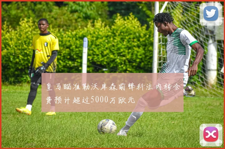 皇马瞄准勒沃库森前锋科法内转会费预计超过5000万欧元