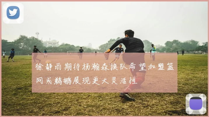 徐静雨期待杨瀚森换队希望加盟篮网或鹈鹕展现更大灵活性