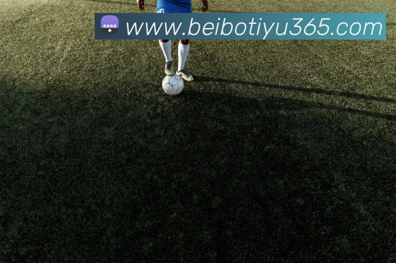 贝博体育全站App